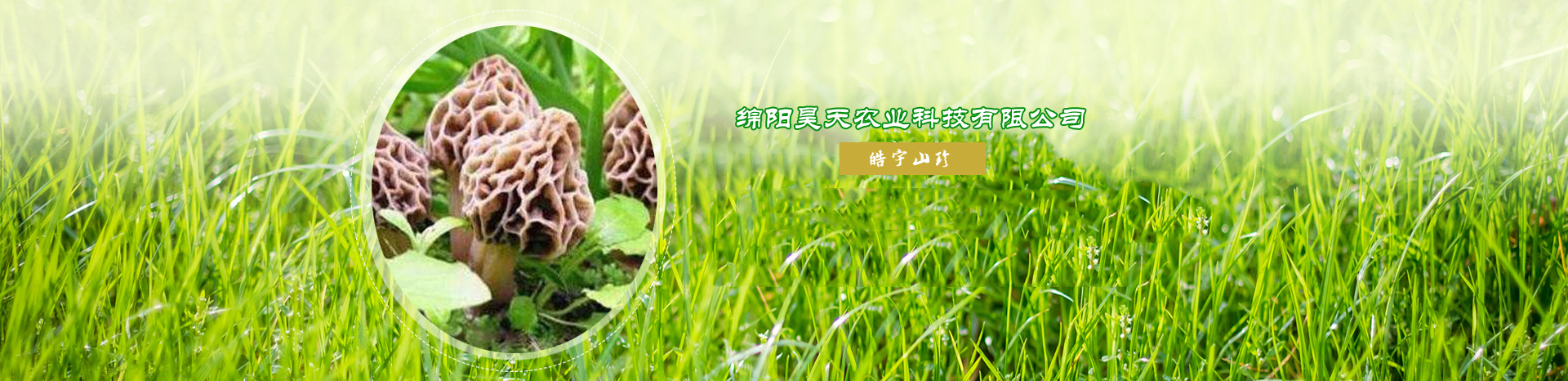&#24320;&#20803;&#32593;&#31449;&#30331;&#24405;&#20837;&#21475;&#95;&#24320;&#20803;&#65288;&#20013;&#22269;&#65289;